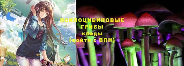 мяу мяу мука Абаза