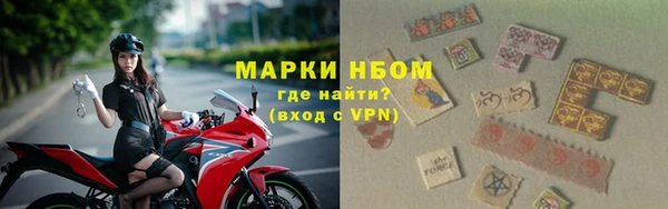 мяу мяу мука Абаза