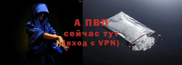 мяу мяу мука Абаза