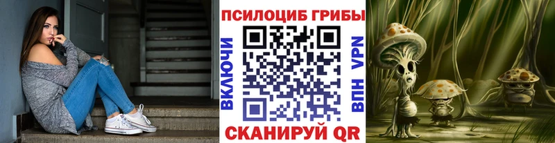 купить  сайты  Хабаровск  Псилоцибиновые грибы Magic Shrooms 